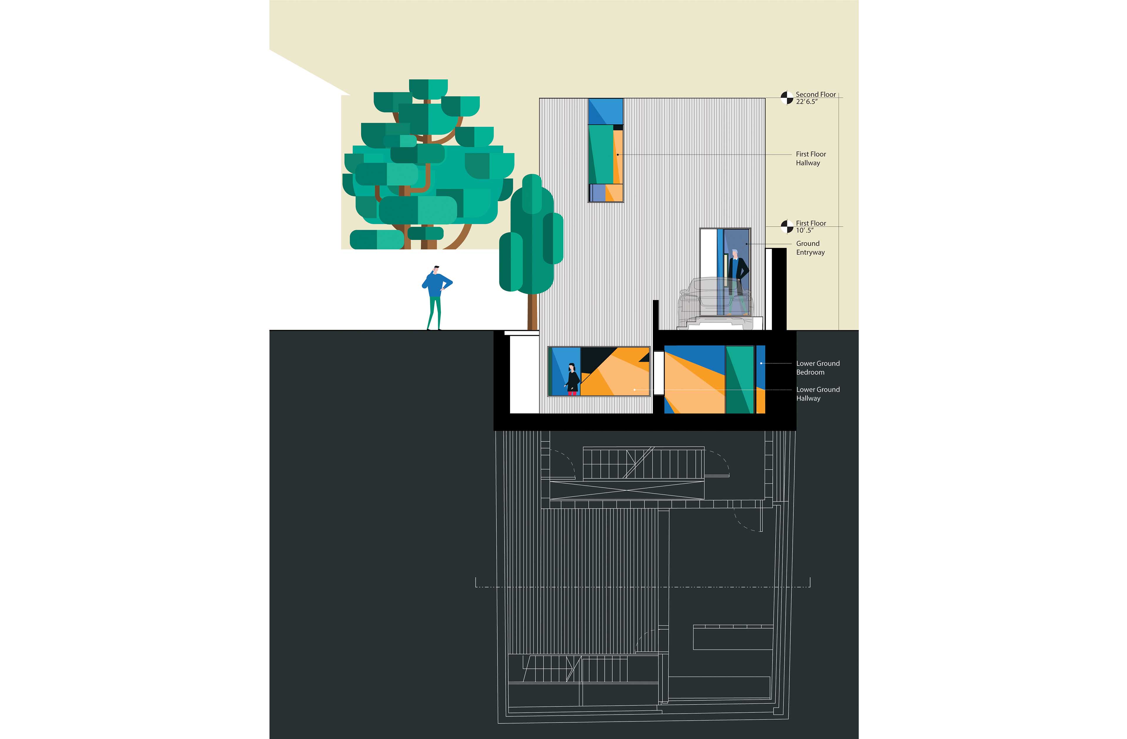 cross section flat illustration with plan